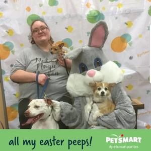 Meet your Posher, Danielle